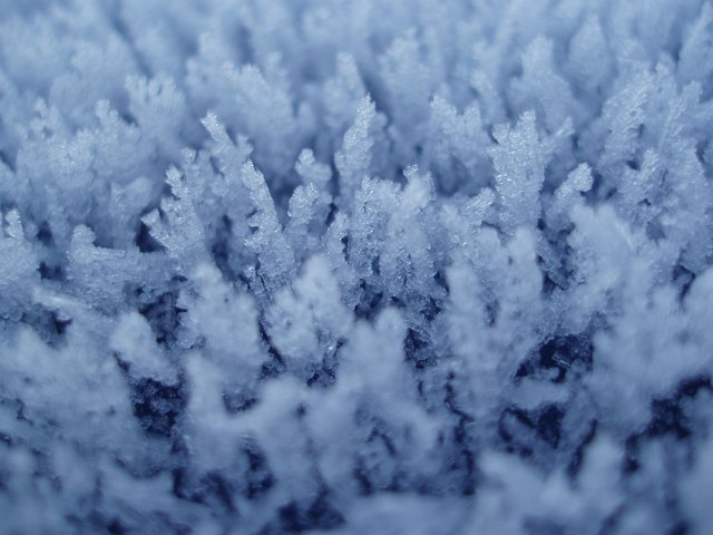 frosty spiky growths of winter hoar frost