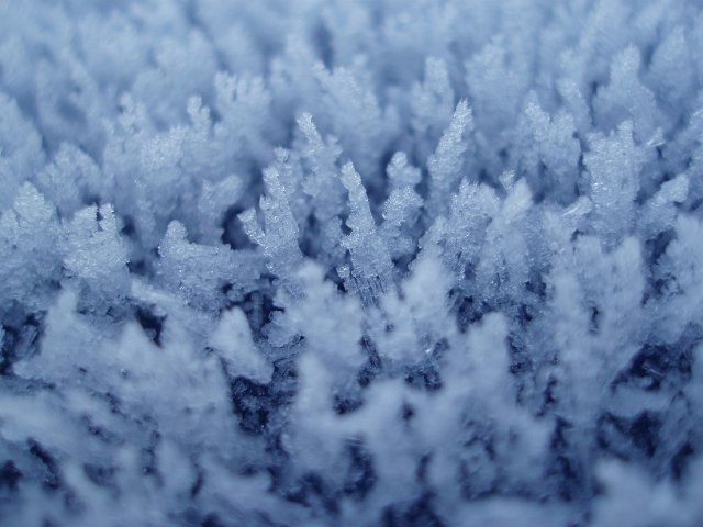 macro image in cold blue liight of winter frost crystals