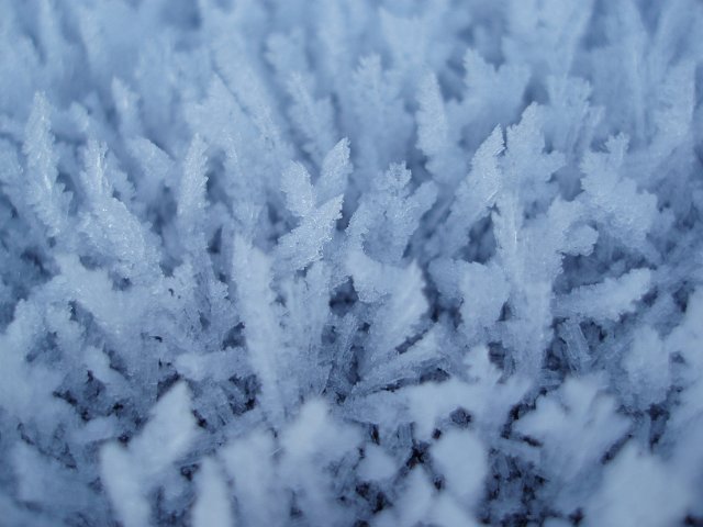 beautiful long crystals of hoar frost