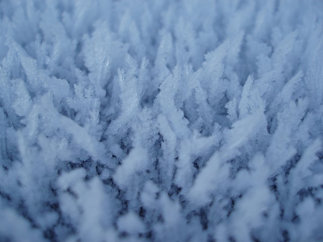 hoar frost growth in cold blue lght