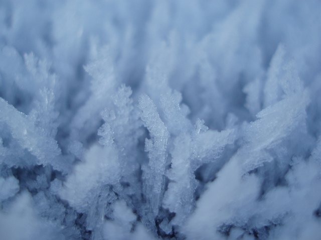 frosty, spikes of hoar frost with cold blue tint