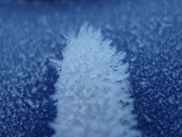 macro image of frost covering a car