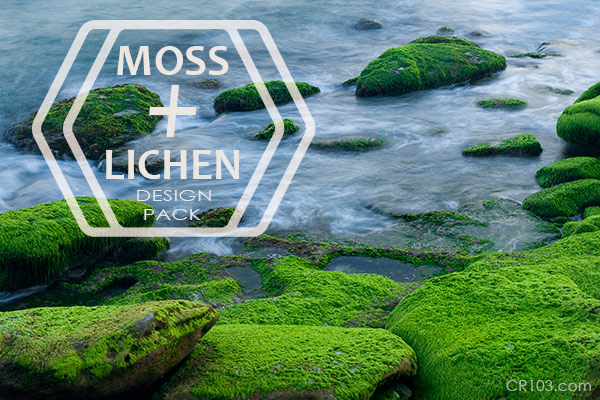 moss and lichen design pack