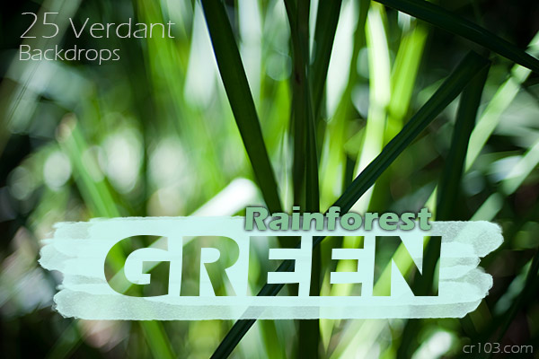 design pack bright rainforest green backdrops