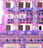 circuitboard2.jpg (794722 bytes)