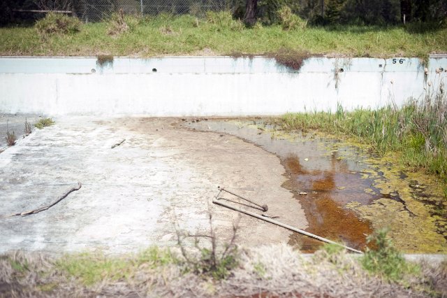 Empty pool or sewage channel, overgrown with grass and slime, with white concrete walls and bottom