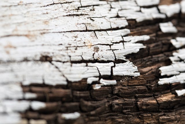 Close up texture of old rotting painted wood decaying from moisture and damp with selective focus in a full frame view