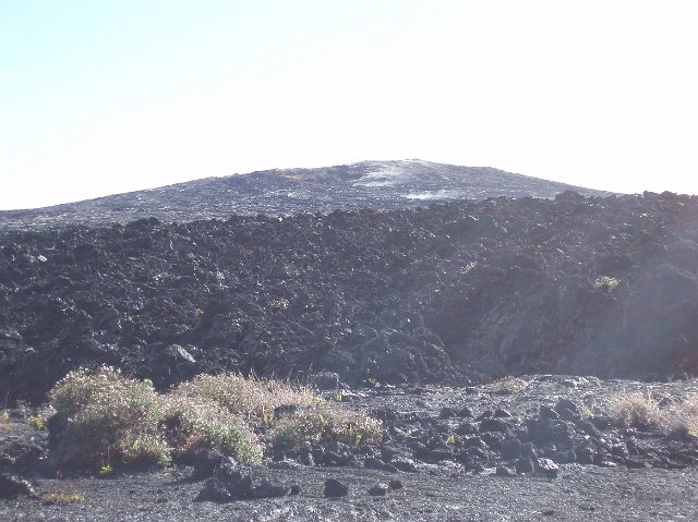 Barren black volcanic wasteland with scattered scrub in a desolate environmental landscape