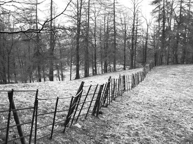 black and white high contrast photo of a metal fence