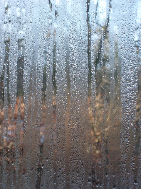 steamy windows, drops of water running down a pane