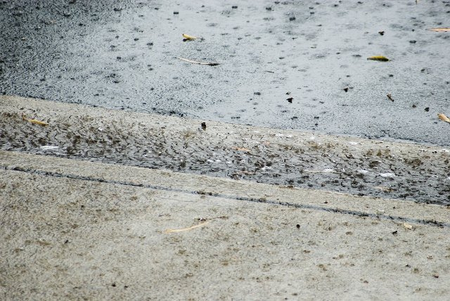 a rainy day on the roads
