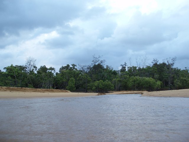 water flooding form a mangrove swamp with storm clouds behind