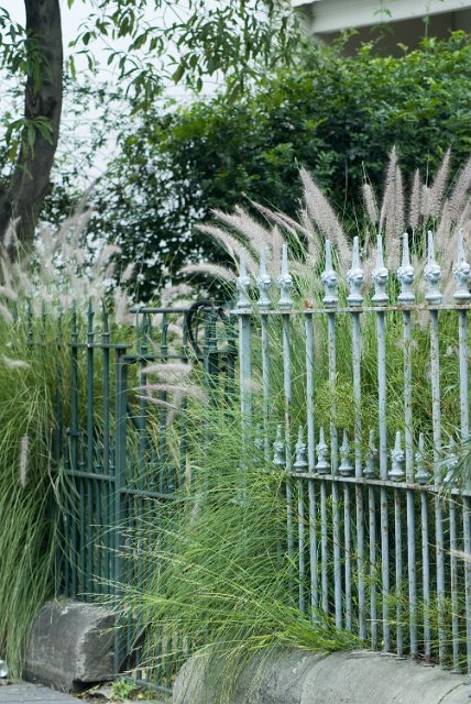 old overgrown garden