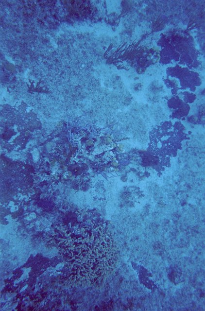 abstract background of the seabed blue