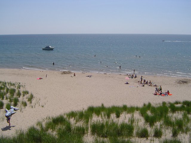 sand dunes and the beach