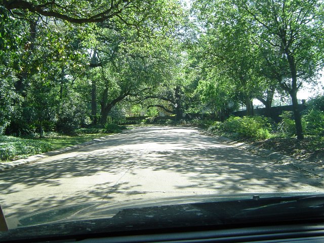 empty avenue road on a sunny day