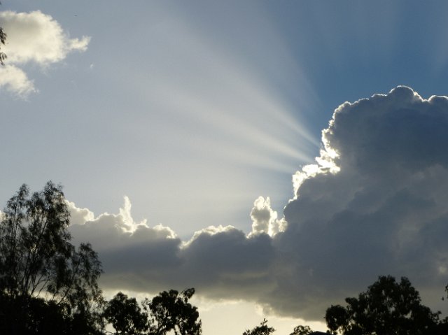 suns rays shining out from behind a dark storm cloud with silhouetted trees
