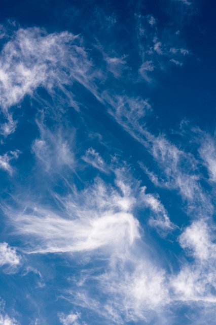a winter blue sky full of cirrus clouds, portrait orientation