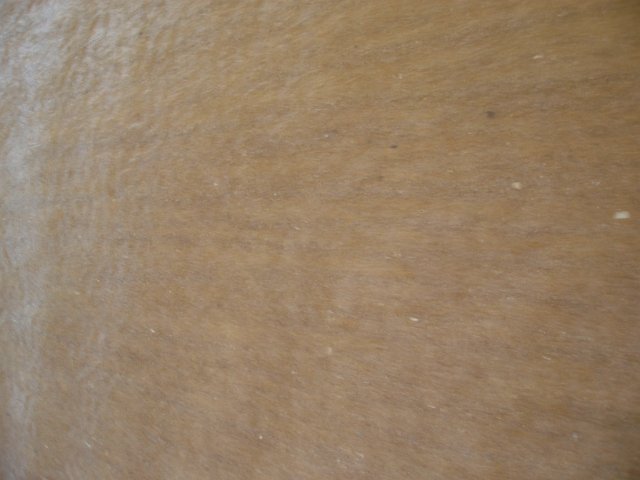 abstract blur of water running over a sandy beach