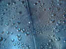 metallic dew drops